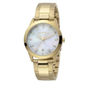 Ladies Daphne Watch (ES1L197M1025)