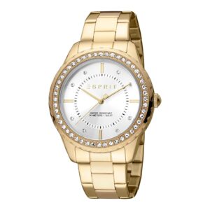 Ladies Skyler XL Watch (ES1L353M0085)